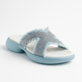 Celestia Slides